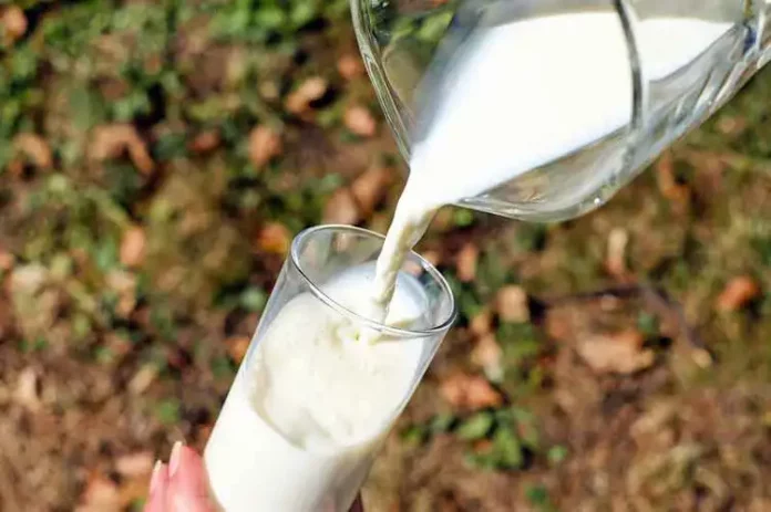 Milch ist ungesund und macht wirklich krank?