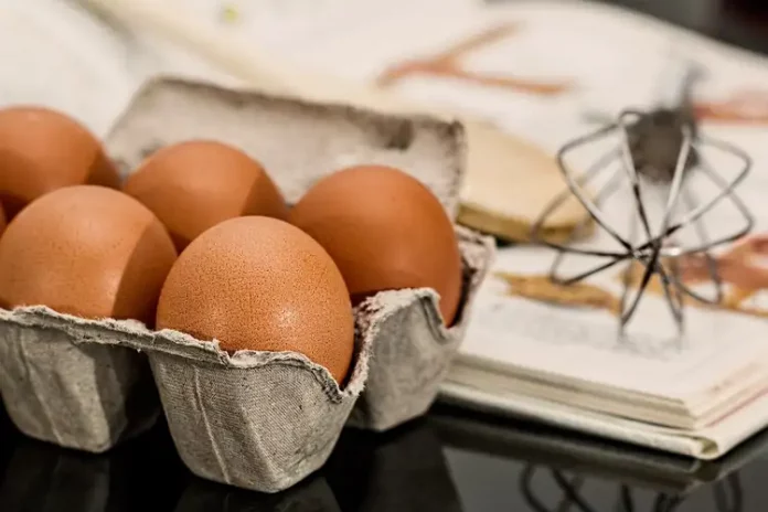 Kalorienarme, kohlenhydratarme und leckere Rezepte