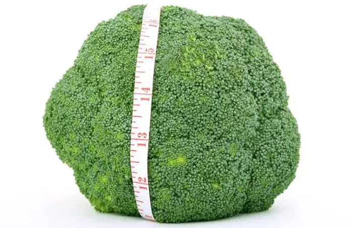 10 Kilo Abnehmen mit unseren Tipps.