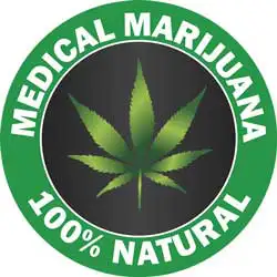 Cannabis und seine heilende Wirkung - Tipps und Hinweise zu Cannabisöl und Co.
