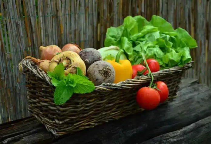 Eine gesunde Ernährung