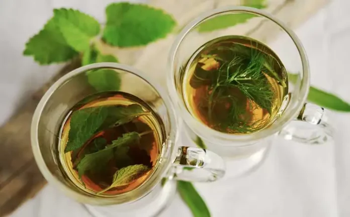 Tee – die genussvolle Gesundheitsvorsorge