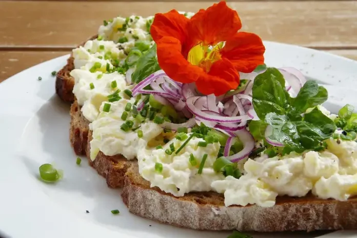 Brot mit Käse und einer Blume für bewusste Ernährung