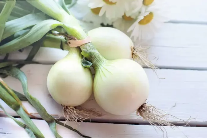 Ein Bund Zwiebeln liegen auf einem Brett