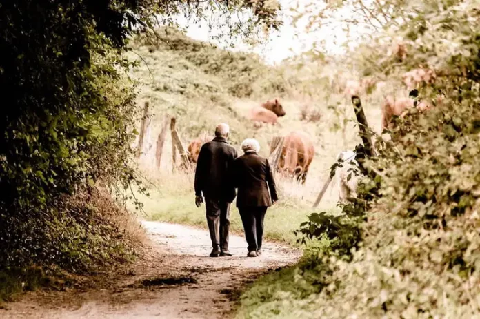 Bis ins hohe Alter gesund bleiben